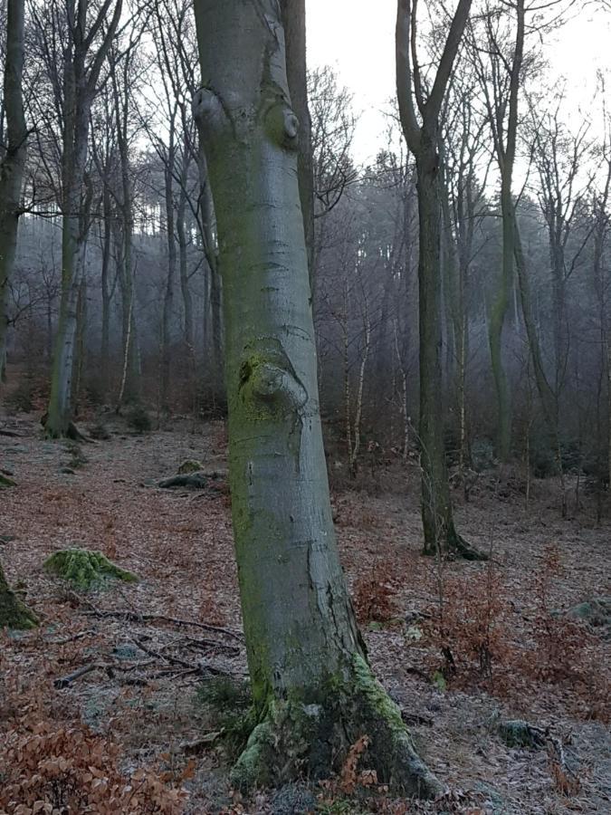 Pilgrims "Franz" Grosszuegige Unterkunft Sauerland メシェデ エクステリア 写真